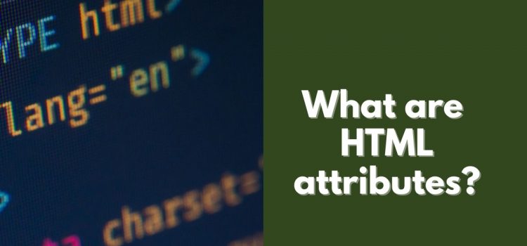 HTML attributes