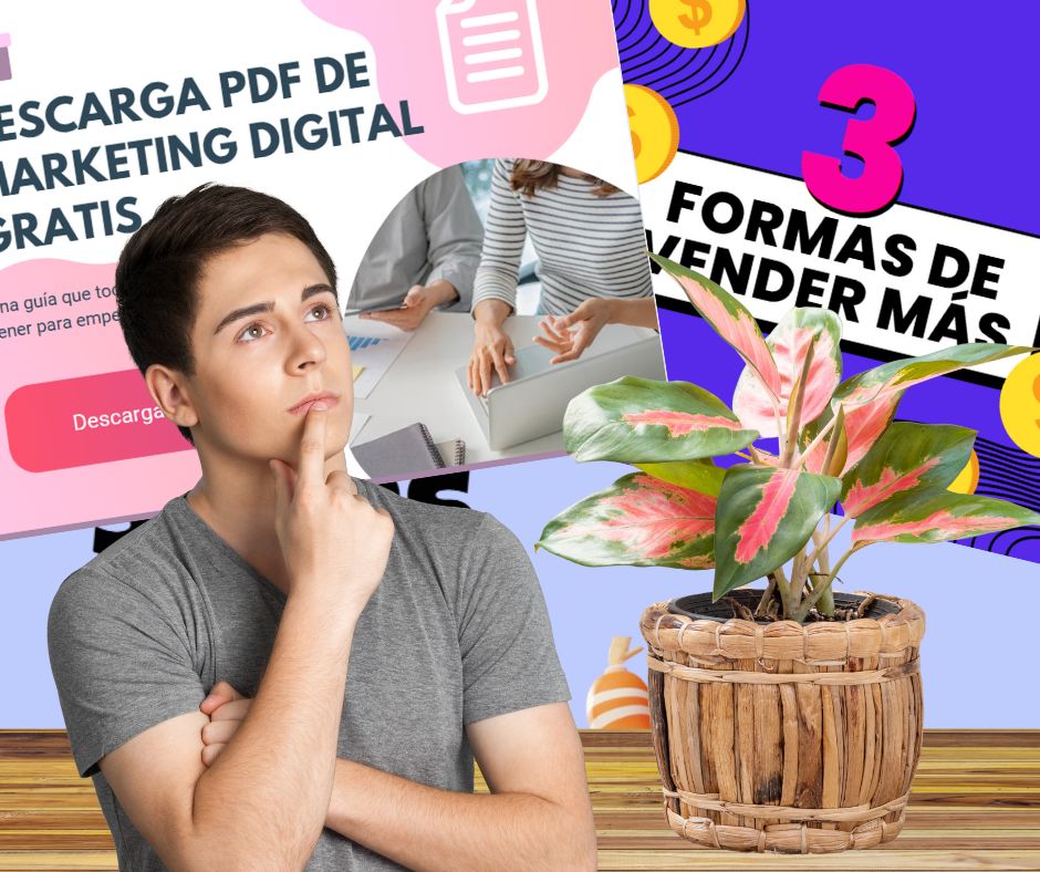 Qué es el Contenido Evergreen en el Marketing Digital y Cómo Aprovecharlo